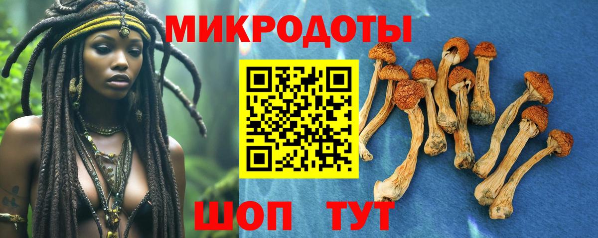 Псилоцибиновые грибы Cubensis Петропавловск-Камчатский